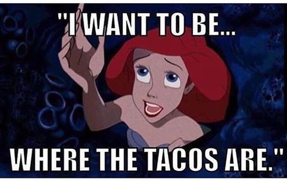 taco meme arielle disney